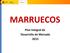 MARRUECOS. Plan Integral de Desarrollo de Mercado 2015