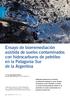 Ensayo de biorremediación asistida de suelos contaminados con hidrocarburos de petróleo en la Patagonia Sur de la Argentina