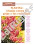 EdiRights. PLANTAS: Aliadas contra la gripe y los resfriados PLANTAS: CONTRA LA GRIPE