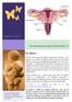 El útero. Documentación para el Encuentro II. Nuestro útero