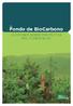 Fondo de BioCarbono LECCIONES SOBRE PROYECTOS MDL FORESTALES