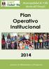 Plan Operativo Institucional
