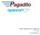 Plugin Pagadito para Opencart pagadito-v.1.0.0 Junio 2012. developers@pagadito.com