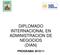 DIPLOMADO INTERNACIONAL EN ADMINISTRACION DE NEGOCIOS (DIAN) PROGRAMA 2010/11