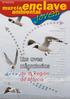 Las aves migratorias de la Región de Murcia