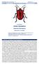 Revista IDE@ - SEA, nº 53 (30-06-2015): 1 30. ISSN 2386-7183 1 Ibero Diversidad Entomológica @ccesible