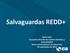 Salvaguardas REDD+ Aymé Sosa Consultora División de Cambio Climático y Sostenibilidad Banco Interamericano de Desarrollo 09 septiembre de 2015