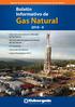 Reporte Semestral de la Gerencia de Fiscalización de Gas Natural Boletín Informativo de Gas Natural 2010 - II