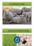 AACREA Producción de Carne. Manual del Usuario. Versión 3.0 Convenio AACREA - Banco RIO