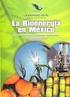 Perspectivas de la Bioenergía en México. Omar Masera Presidente Red Mexicana de Bioenergía A.C.
