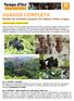 UGANDA COMPLETA Gorilas de montaña, parques de sabana, etnias y lagos