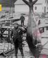 ARTÍCULO. En Dinamarca (1930) un hombre presume el tamaño del atún que acaba de pescar. foto: Fox Photos vía Getty Images. 32