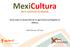 Socio para el desarrollo de la agricultura protegida en México. Niels Prinssen, 12 th June