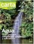 Año 1 / Número 2 / Cali, Colombia / 2013. Agua: un recurso que compromete a ingenios y cultivadores