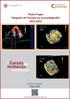 Título Propio Magíster de Técnicos en Ecocardiografía 2012-2013
