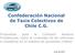 Confederación Nacional de Taxis Colectivos de Chile C.G.