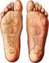 Los pies soportan todo el peso del cuerpo y permiten el desplazamiento