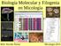 Biología Molecular y Filogenia en Micología