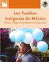 ESTIMACIONES DE LA POBLACIÓN INDÍGENA EN MÉXICO: CONCEPTOS Y FORMAS DE CÁLCULO