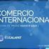 II.e MICROECONOMIA Comercio Internacional. Introducción a la Economía IN2C1 Bernardita Piedrabuena K. Primavera 2008