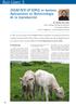 OVUM PICK UP (OPU) en bovinos: Aplicaciones en Biotecnología de la reproducción