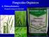 Evaluación de la persistencia de fungicidas cúpricos en hoja de olivo
