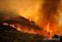 Incendios Forestales en España. Año 2002