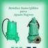 Bombas Autocebantes. WDM Water Systems