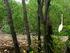 Identificación de áreas de manglar de relevancia biológica y de rehabilitación ecológica