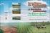 Nuevos Sistemas de Producción Agropecuaria y Servicios Ambientales: Una evaluación económica en la Altillanura Colombiana