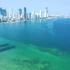 Bahía de Cartagena y Canal del Dique: Ecosistemas Estratégicos