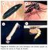 GUIA PRÁCTICA PARA LA IDENTIFICACIÓN DE Aedes aegypti