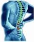 Trastornos Musculoesqueléticos de espalda lumbar en trabajadores de la salud de la comuna rural de Til Til 1