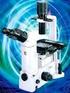 Microscopio invertido para aplicaciones de rutina. Microscopio invertido CKX41/31 CKX