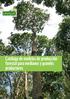 Catálogo de modelos de producción forestal para medianos y grandes productores