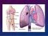 Tromboembolismo pulmonar en el puerperio