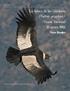 En busca de los Cóndores (Vultur gryphus): Censo Nacional 18 mayo 2014