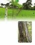 Barreras para la implementación de sistemas silvopastoriles y usos de suelo amigables con la biodiversidad en Matiguás, Nicaragua