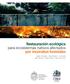 por incendios forestales para ecosistemas nativos afectados Restauración ecológica