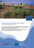 Programa Operativo del Fondo Europeo de Desarrollo Regional de la Comunitat Valenciana