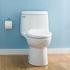 Homeowners Guide. One-Piece Toilet