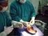 Tratamiento de las arterias hipogástricas en la cirugía endovascular del aneurisma de aorta abdominal
