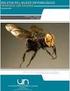 Boletín del Museo de Entomología de la Universidad del Valle 7(1):1-9,