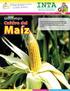 Guía para la selección de variedades de maíz blanco y amarillo. En la zona sur-oriente del estado de Morelos, México.