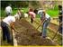 La Educación agrícola en Venezuela Extracto relacionado con el Municipio Mariño