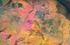 Las pinturas rupestres de Peña Piñera, nuevos descubrimientos