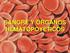 Enfermedades de la sangre y de los órganos hematopoyéticos, y ciertos trastornos que afectan el mecanismo de la inmunidad (D50 D89)