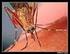 En México, la primera epidemia de dengue hemorrágico