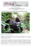 Gorilas en la Niebla 2016 Uganda, Ruanda (opcional Zanzíbar, Tanzania) 15 o 20 días CAMPAMENTOS MONTADOS POR NUESTRO EQUIPO DURANTE TODO EL SAFARI