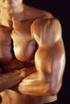Comportamientos relacionados con la dismorfia muscular en usuarios de esteroides anabolizantes